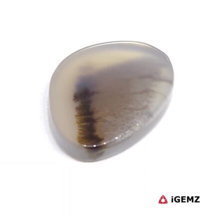 9.49 ct Brown Dendritic Agate - iGemz24548 gemstone for sale at igemz.co.za