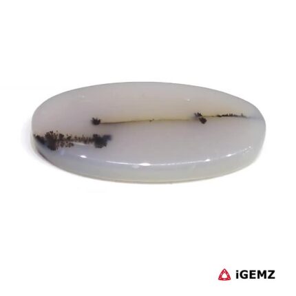 13.14 ct Brown Dendritic Agate - iGemz24549 gemstone for sale at igemz.co.za