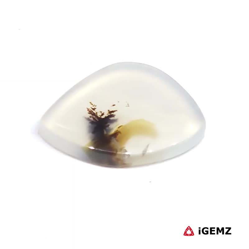 iGemz24554.1 4.42 ct Brown Dendritic Agate - iGemz24554 gemstone for sale at igemz.co.za
