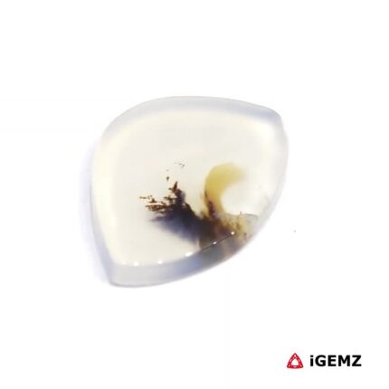 4.42 ct Brown Dendritic Agate - iGemz24554 gemstone for sale at igemz.co.za