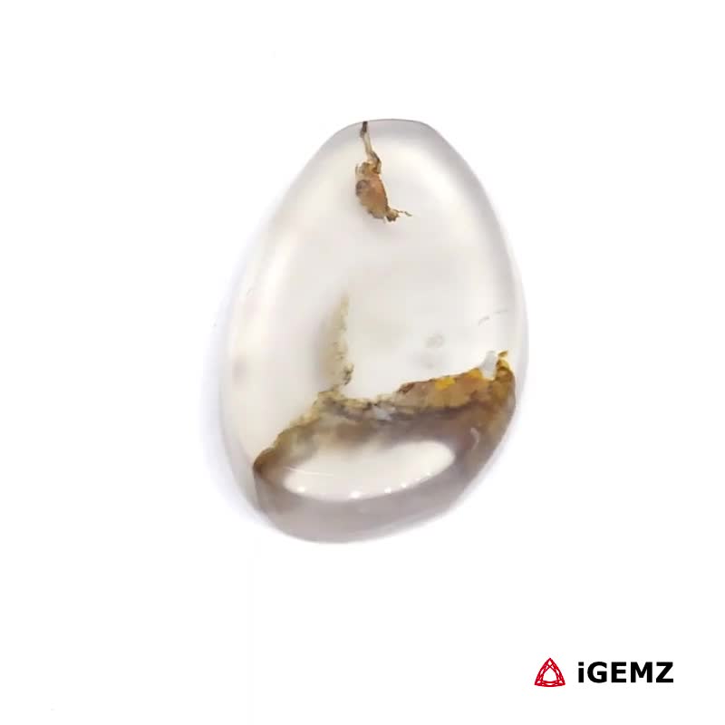 iGemz24559.1 5.33 ct Brown Dendritic Agate - iGemz24559 gemstone for sale at igemz.co.za