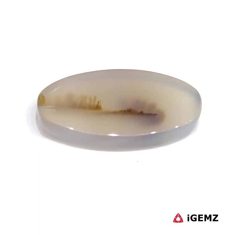 iGemz24560.1 8 ct Brown Dendritic Agate - iGemz24560 gemstone for sale at igemz.co.za