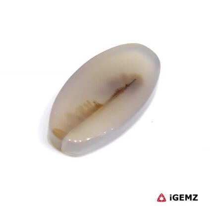 8 ct Brown Dendritic Agate - iGemz24560 gemstone for sale at igemz.co.za