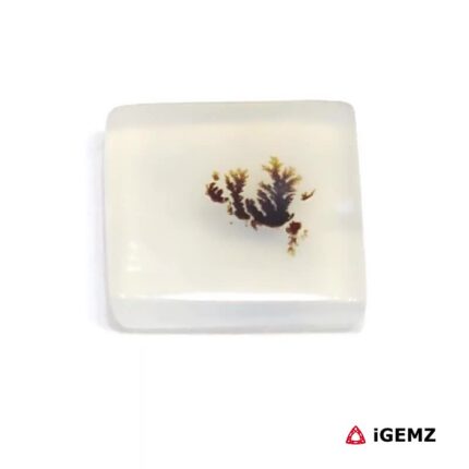 3.46 ct Brown Dendritic Agate - iGemz24564 gemstone for sale at igemz.co.za