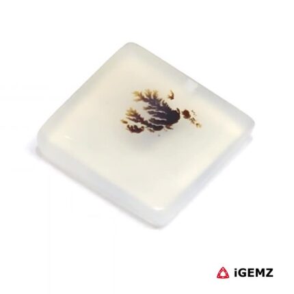 3.46 ct Brown Dendritic Agate - iGemz24564 gemstone for sale at igemz.co.za