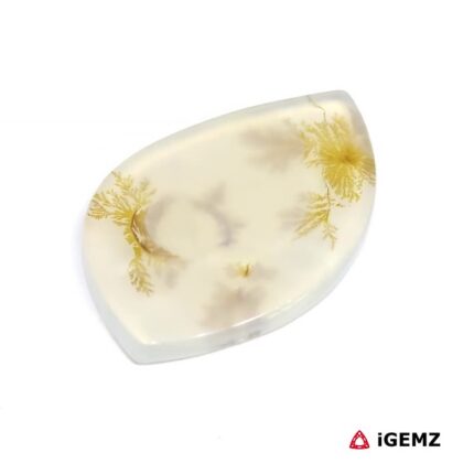 23.97 ct Brown Dendritic Agate - iGemz24569 gemstone for sale at igemz.co.za