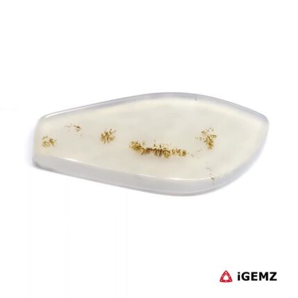 17.6 ct Brown Dendritic Agate - iGemz24571 gemstone for sale at igemz.co.za