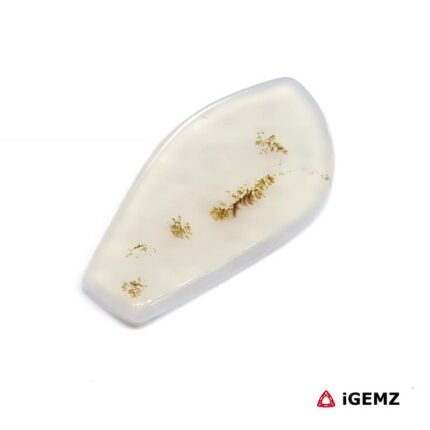 17.6 ct Brown Dendritic Agate - iGemz24571 gemstone for sale at igemz.co.za