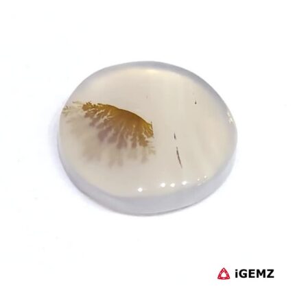 4.78 ct Brown Dendritic Agate - iGemz24572 gemstone for sale at igemz.co.za