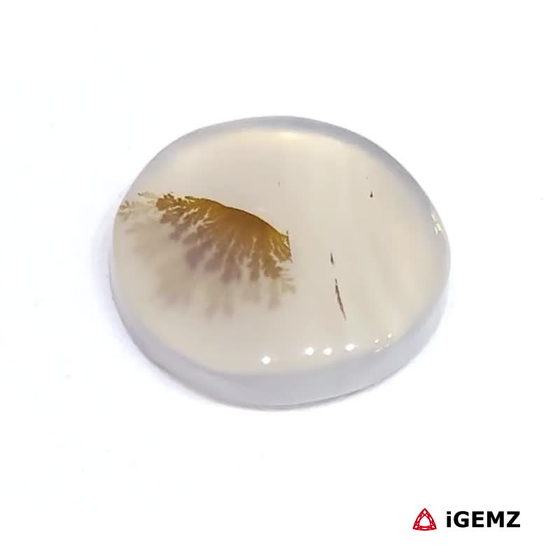 iGemz24572.1 4.78 ct Brown Dendritic Agate - iGemz24572 gemstone for sale at igemz.co.za