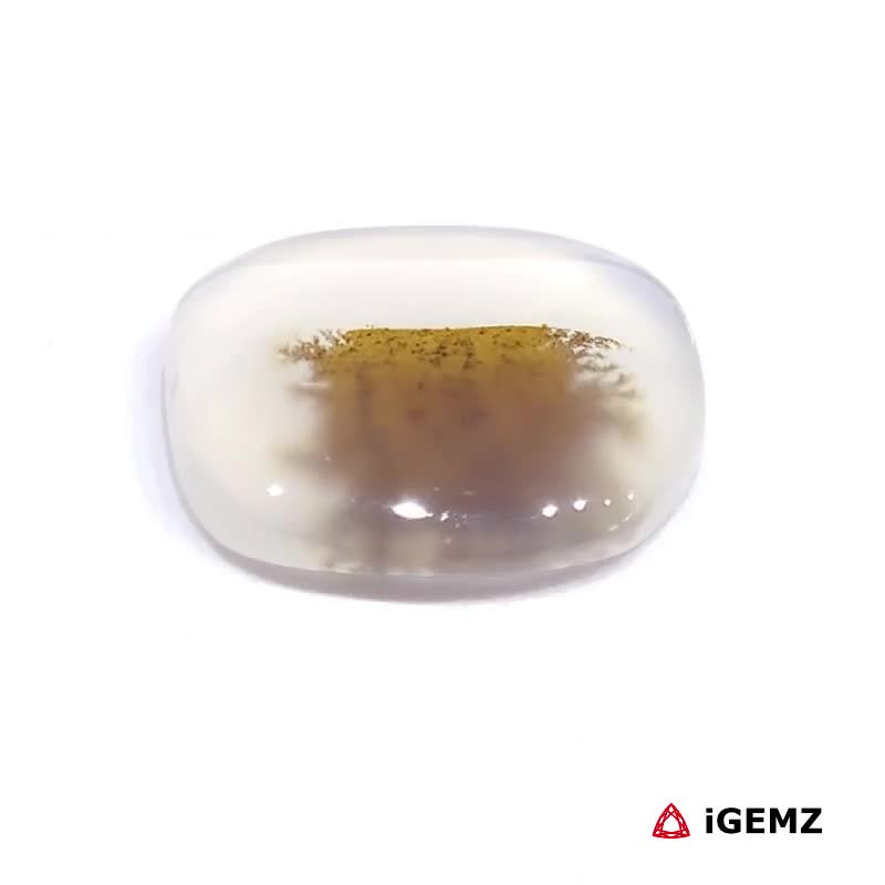 iGemz24582.1 5.57 ct Brown Dendritic Agate - iGemz24582 gemstone for sale at igemz.co.za