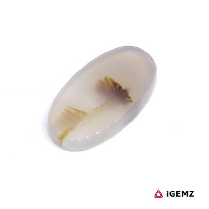 6.11 ct Brown Dendritic Agate - iGemz24584 gemstone for sale at igemz.co.za