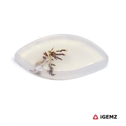 3.14 ct Brown Dendritic Agate - iGemz24594 gemstone for sale at igemz.co.za