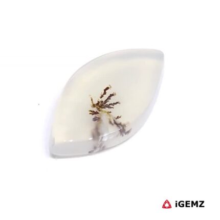 3.14 ct Brown Dendritic Agate - iGemz24594 gemstone for sale at igemz.co.za