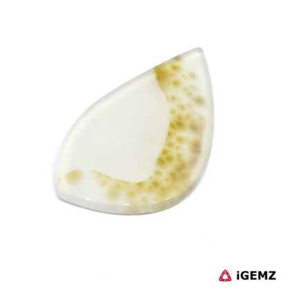 25.9 ct Brown Dendritic Agate - iGemz24595 gemstone for sale at igemz.co.za