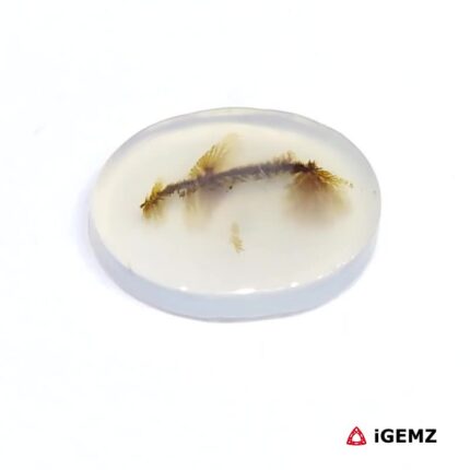 3.56 ct Brown Dendritic Agate - iGemz24599 gemstone for sale at igemz.co.za