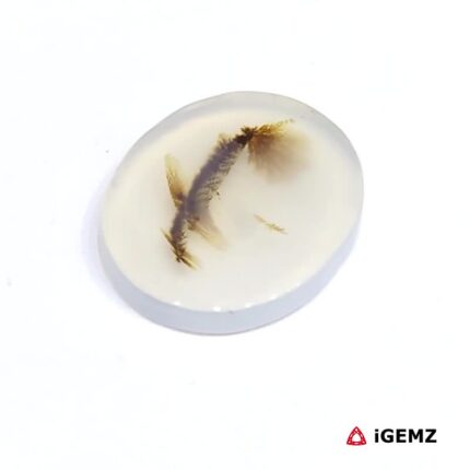 3.56 ct Brown Dendritic Agate - iGemz24599 gemstone for sale at igemz.co.za
