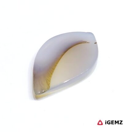 8.92 ct Brown Dendritic Agate - iGemz24600 gemstone for sale at igemz.co.za