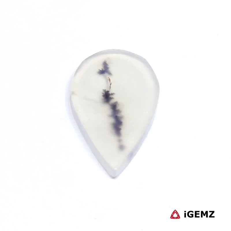 iGemz24602.1 6.24 ct Brown Dendritic Agate - iGemz24602 gemstone for sale at igemz.co.za