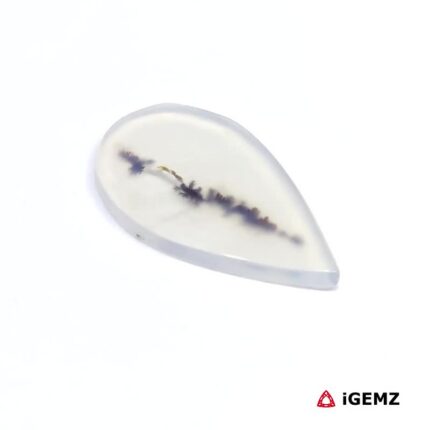 6.24 ct Brown Dendritic Agate - iGemz24602 gemstone for sale at igemz.co.za