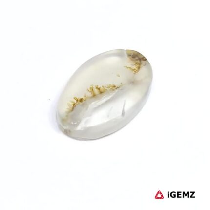 4 ct Brown Dendritic Agate - iGemz24603 gemstone for sale at igemz.co.za