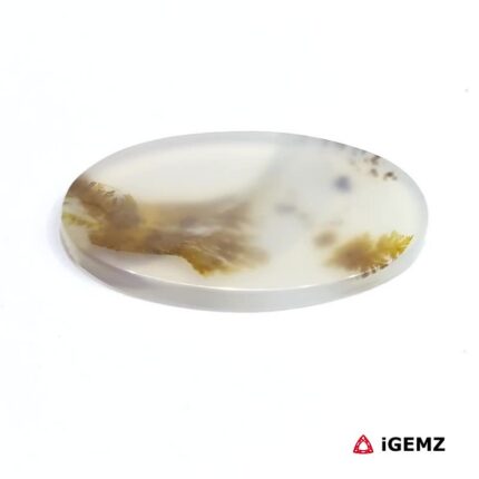 19.3 ct Brown Dendritic Agate - iGemz24605 gemstone for sale at igemz.co.za