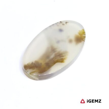 19.3 ct Brown Dendritic Agate - iGemz24605 gemstone for sale at igemz.co.za