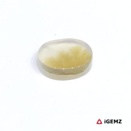 2.19 ct Brown Dendritic Agate - iGemz24610 gemstone for sale at igemz.co.za