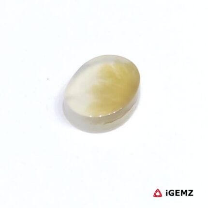 2.19 ct Brown Dendritic Agate - iGemz24610 gemstone for sale at igemz.co.za
