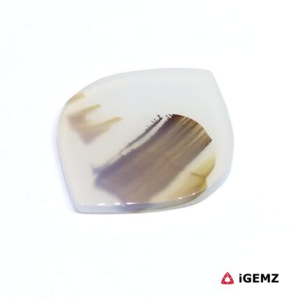 11.71 ct Brown Dendritic Agate - iGemz24611 gemstone for sale at igemz.co.za