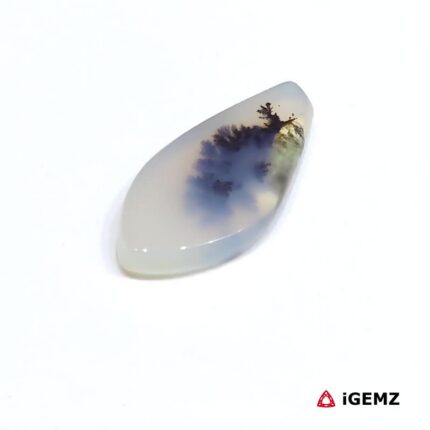 6.58 ct Brown Dendritic Agate - iGemz24612 gemstone for sale at igemz.co.za