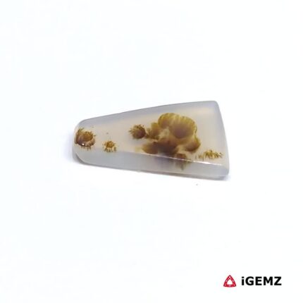3.8 ct Brown Dendritic Agate - iGemz24614 gemstone for sale at igemz.co.za