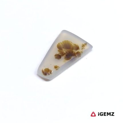 3.8 ct Brown Dendritic Agate - iGemz24614 gemstone for sale at igemz.co.za