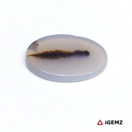 4.1 ct Brown Dendritic Agate - iGemz24615 gemstone for sale at igemz.co.za