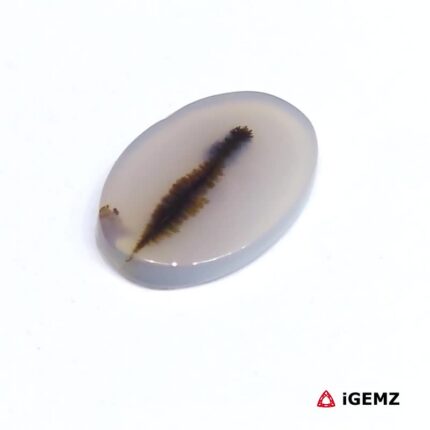 4.1 ct Brown Dendritic Agate - iGemz24615 gemstone for sale at igemz.co.za