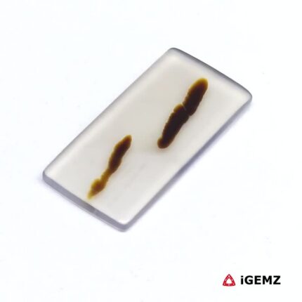 5.12 ct Brown Dendritic Agate - iGemz24616 gemstone for sale at igemz.co.za