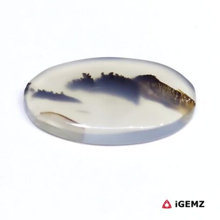 15.9 ct Black Dendritic Agate - iGemz24617 gemstone for sale at igemz.co.za