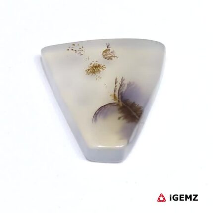 13.1 ct Brown Dendritic Agate - iGemz24618 gemstone for sale at igemz.co.za
