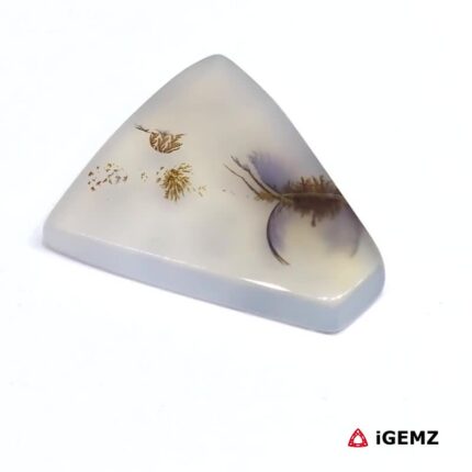 13.1 ct Brown Dendritic Agate - iGemz24618 gemstone for sale at igemz.co.za
