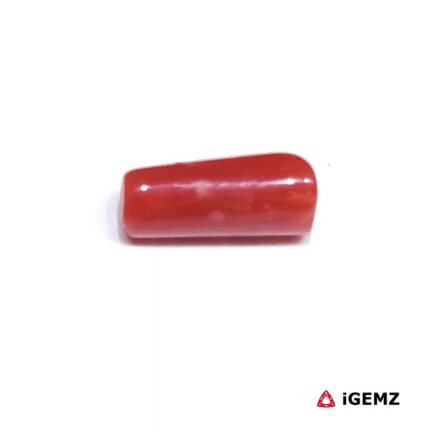 1.87 ct Red Coral - iGemz32891 gemstone for sale at igemz.co.za