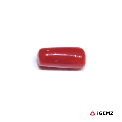 1.46 ct Red Coral - iGemz32894 gemstone for sale at igemz.co.za