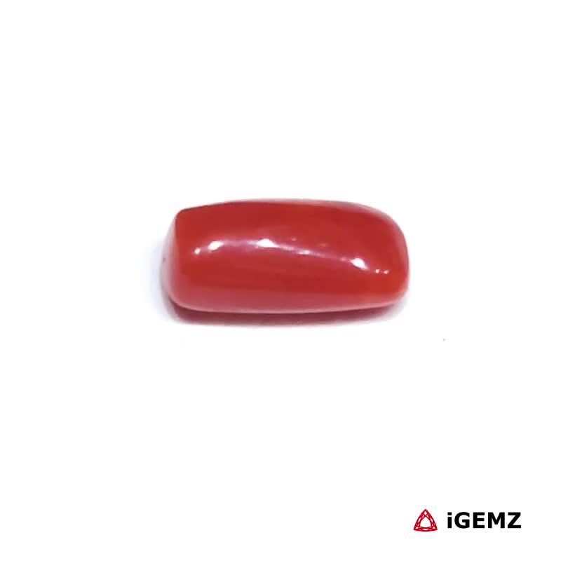 iGemz32898.1 1.9 ct Red Coral - iGemz32898 gemstone for sale at igemz.co.za