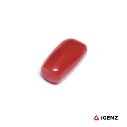 1.9 ct Red Coral - iGemz32898 gemstone for sale at igemz.co.za