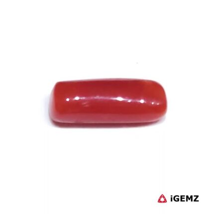 2.565 ct Red Coral - iGemz32904 gemstone for sale at igemz.co.za