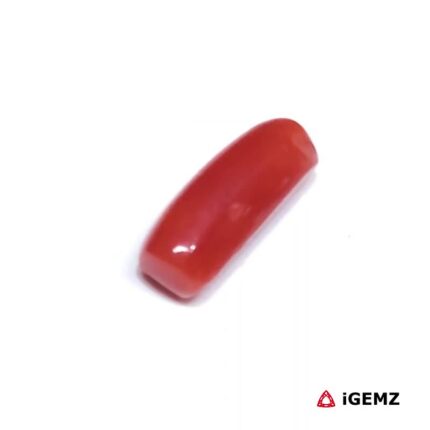 2.3 ct Red Coral - iGemz32908 gemstone for sale at igemz.co.za