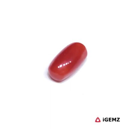 1.335 ct Red Coral - iGemz32910 gemstone for sale at igemz.co.za