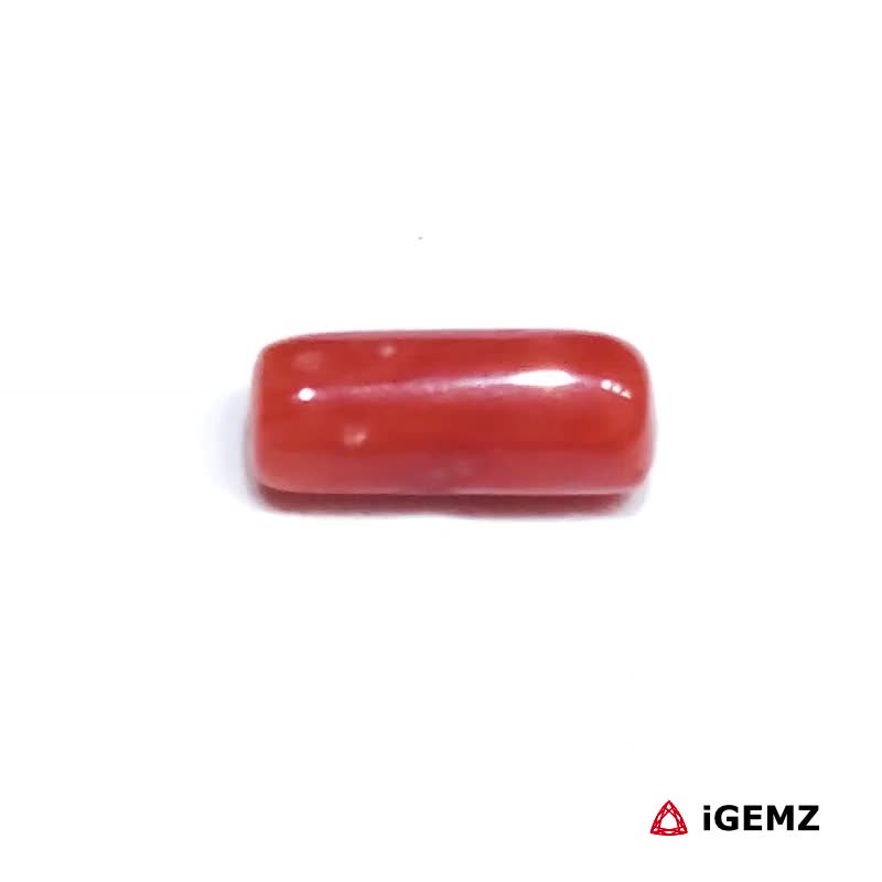 iGemz32911.1 1.94 ct Red Coral - iGemz32911 gemstone for sale at igemz.co.za