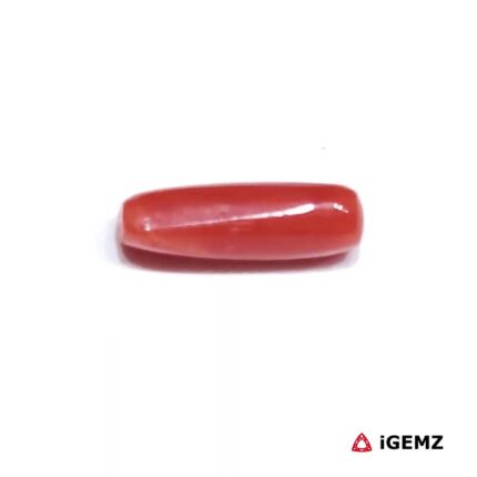 1.825 ct Red Coral - iGemz32913 gemstone for sale at igemz.co.za