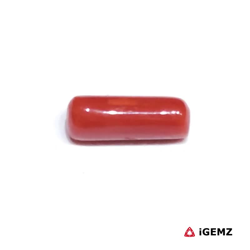 iGemz32914.1 2.13 ct Red Coral - iGemz32914 gemstone for sale at igemz.co.za