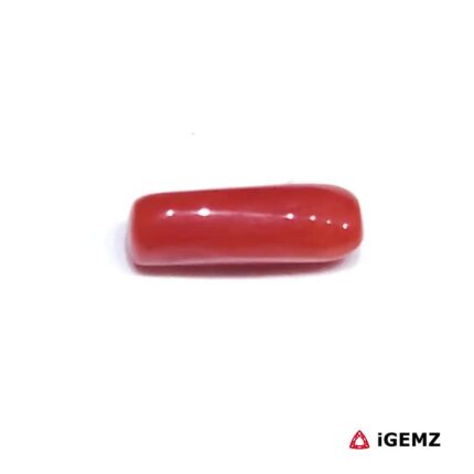 1.715 ct Red Coral - iGemz32919 gemstone for sale at igemz.co.za